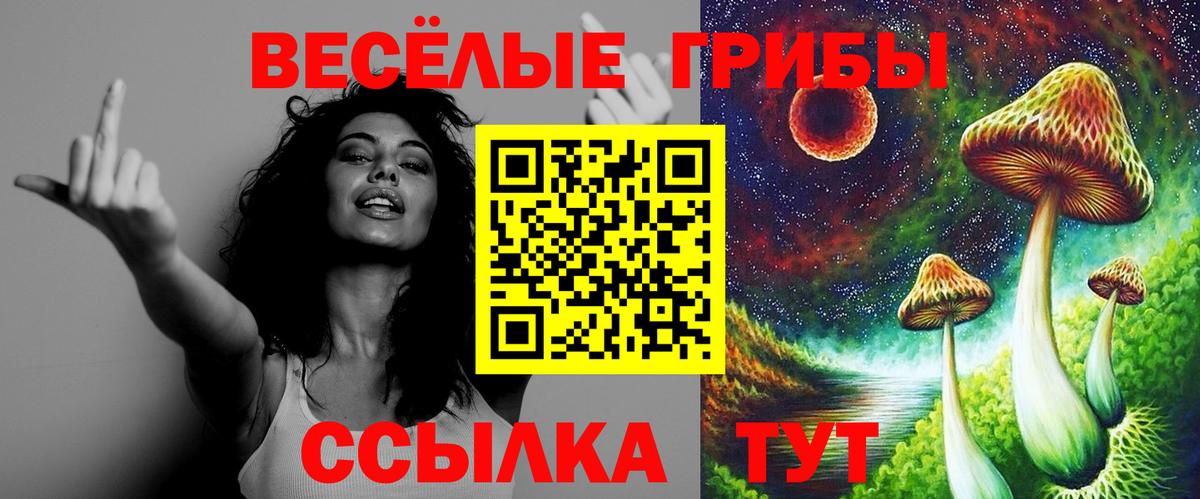 Галлюциногенные грибы мицелий Волгоград